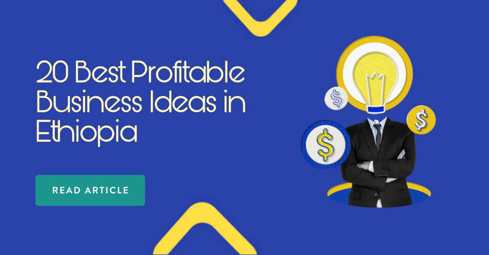 20 Best Profitable Business Ideas in Ethiopia 2024 background image