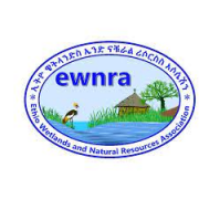 Ethio Wetlands and Natural Resources Association Logo