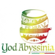 Yod Abyssinia General Trading plc logo