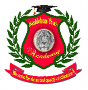 Bethlehem Youth Academy Logo