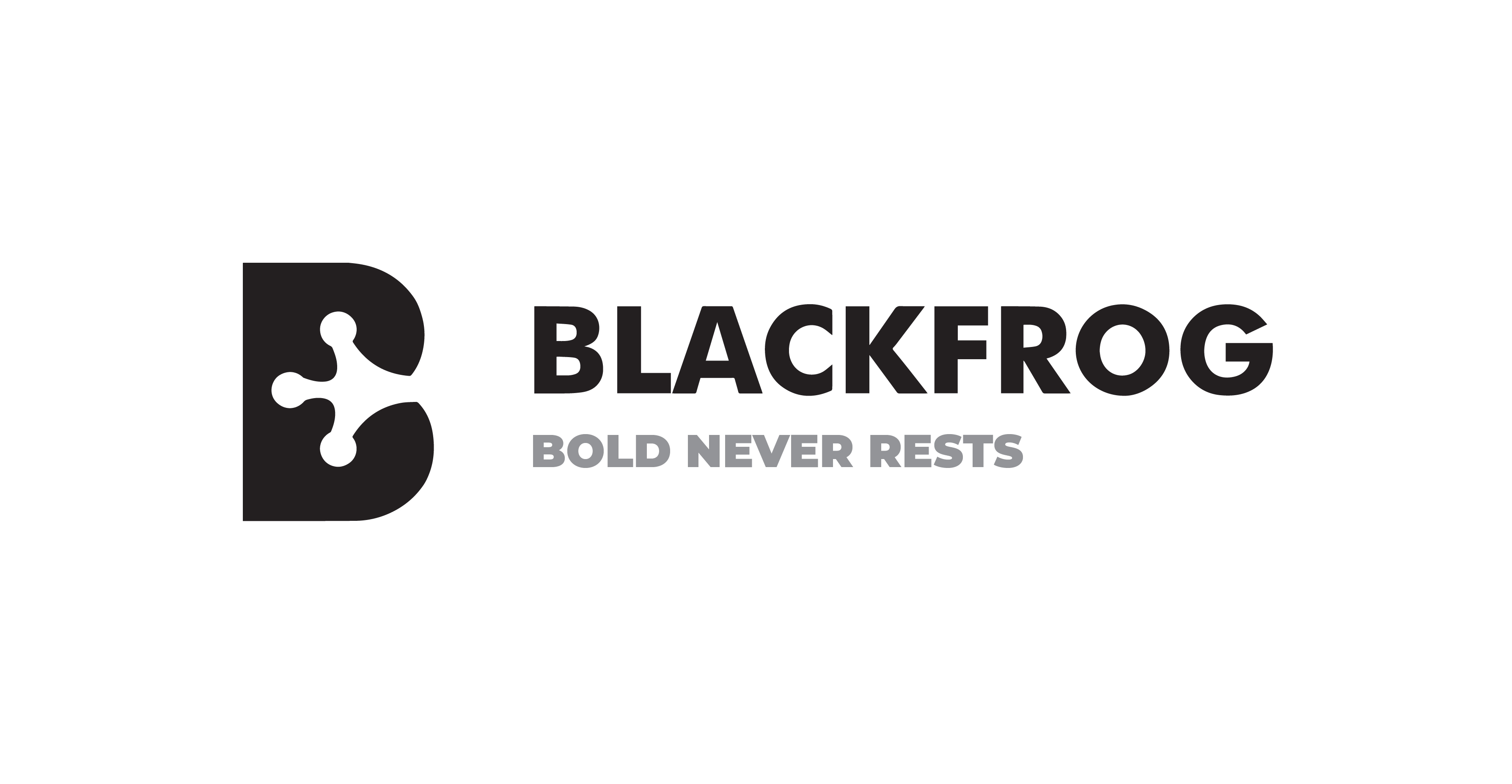 Black Frog Trading PLC logo