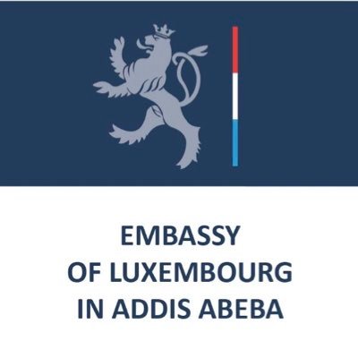 Embassy of Luxembourg Logo