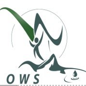 OWS Development Fund logo